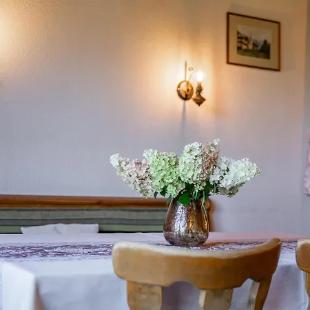 Rathgebgut Apartment Zell am See